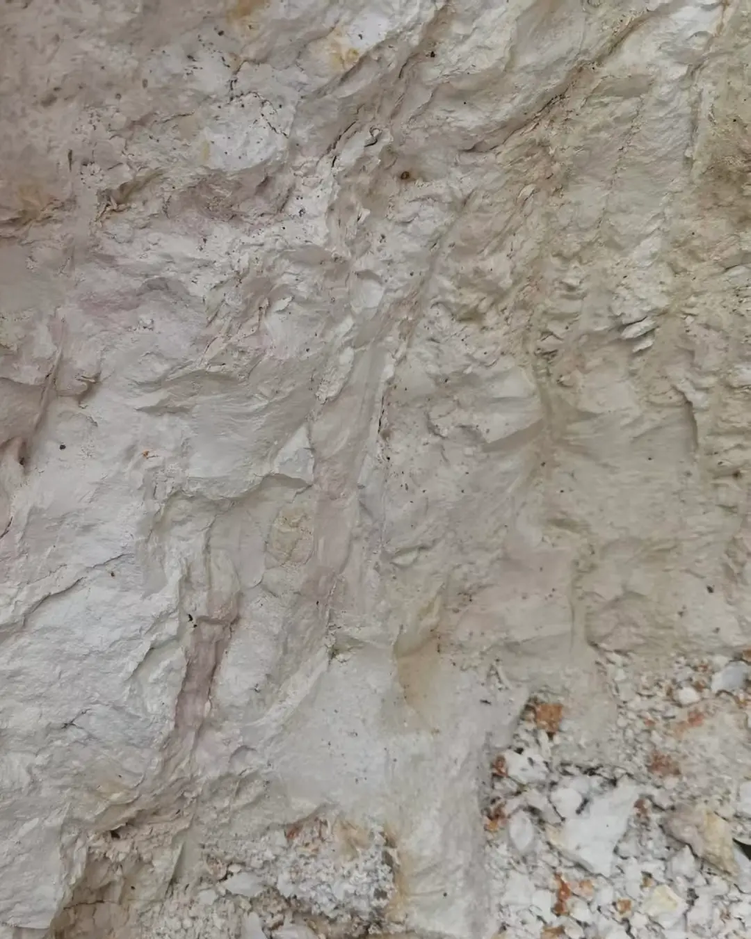 A freshly cut face of raw clay ore, chalk-white and streaked with iron
